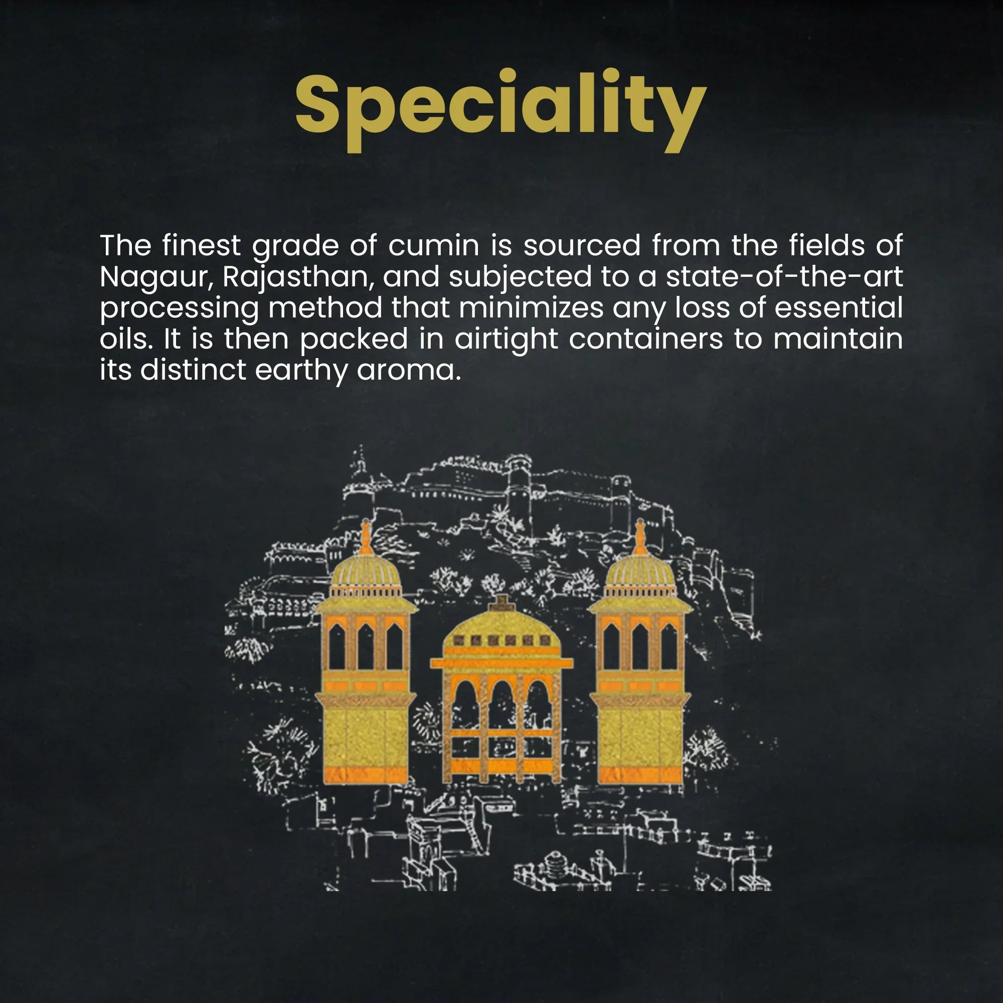 Orika Nagauri Bold Cumin Whole Combo, Pack of 2, 250gm/each - Orika Spices India